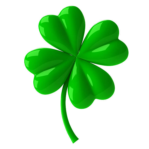 Clover stock photo