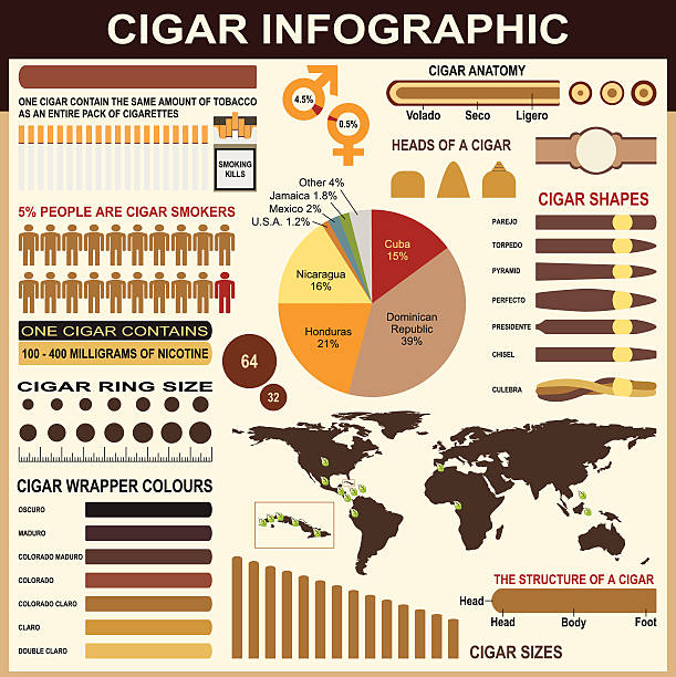 illustrazioni stock, clip art, cartoni animati e icone di tendenza di sigari elementi infografici - cigarette wrapping