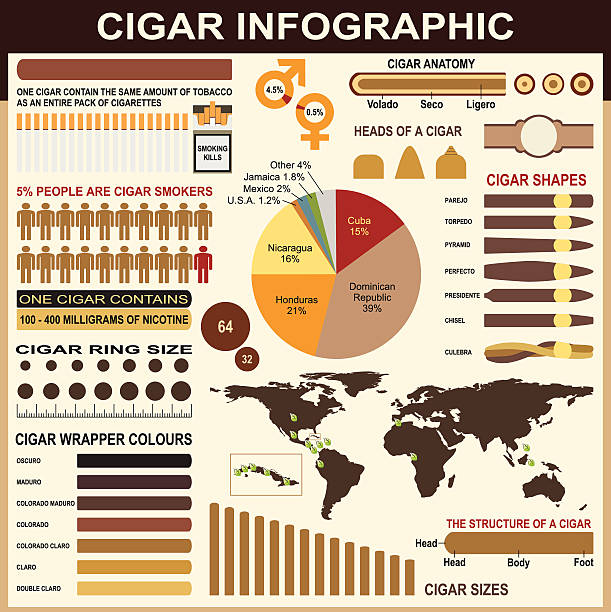 сигары инфографика элементы - cigarette wrapping stock illustrations