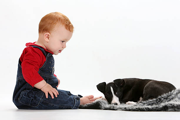 istock Baby and puppy 536557745