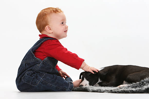 istock Baby and puppy 536557753