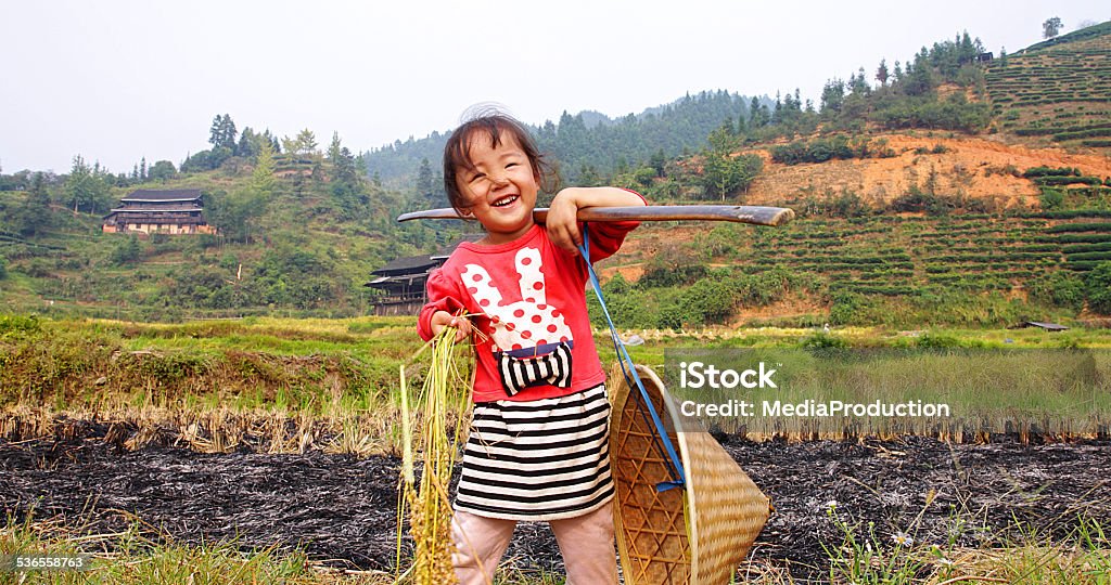 Chinese girl playing with rice during harvest China - East Asia Stock Photo
