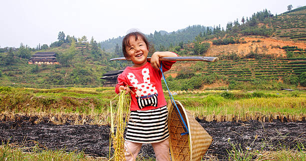 Chinese girl playing with rice during harvest Chinese girl playing with rice during harvest dong stock pictures, royalty-free photos & images