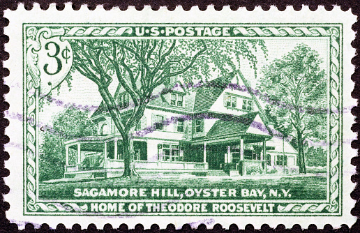Home of Theodore Roosvelt on old US postage stamp