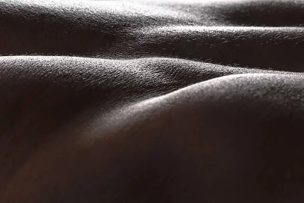 Skin hills of female body looking like landscape image