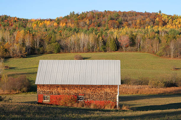 istock Rural shack in New Brunswick Fall season 536559249