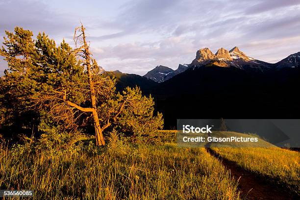 Alberta Trail Stock Photo - Download Image Now - 2015, Adventure, Alberta