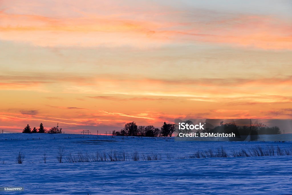 Rural Winter Landscape Snow-covered farm fields at dusk in rural Iowa. Iowa Stock Photo