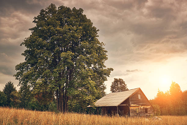Cabin on the field
