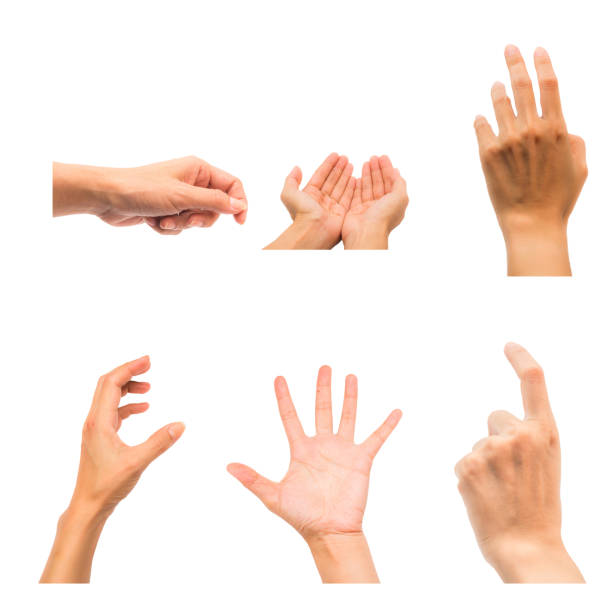 Hand isolated. stock photo