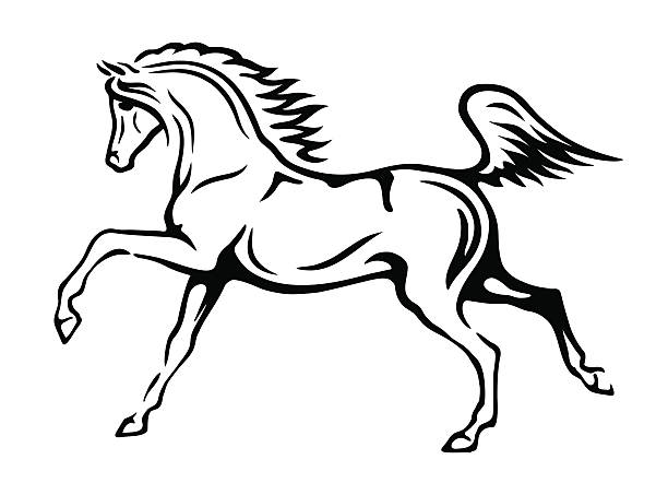 ilustrações de stock, clip art, desenhos animados e ícones de esboço de cavalo - horse arabian horse arabia white