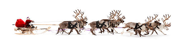 Santa Claus is sitting in a deer sleigh Santa Claus rides in a reindeer sleigh. He hastens to give gifts before Christmas. reindeer stock pictures, royalty-free photos & images