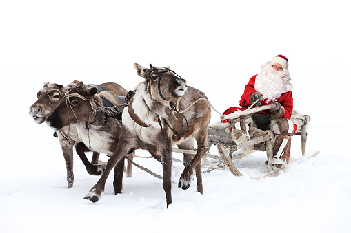 Santa Claus rides in a reindeer sleigh. He hastens to give gifts before Christmas.
