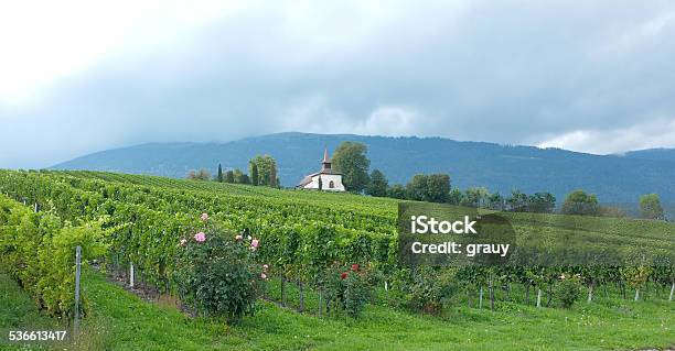 Vineyard And Church Of Valeyressousrances Stock Photo - Download Image Now - 2015, Agriculture, Berry Fruit