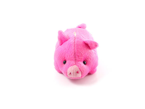 istock cute pink pig doll isolated on white background 536615499