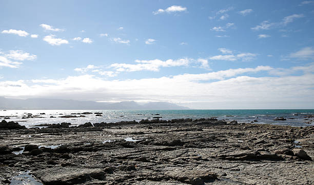 istock Empty stone beach on Beach in Kaikoura, New Zealand 536646902