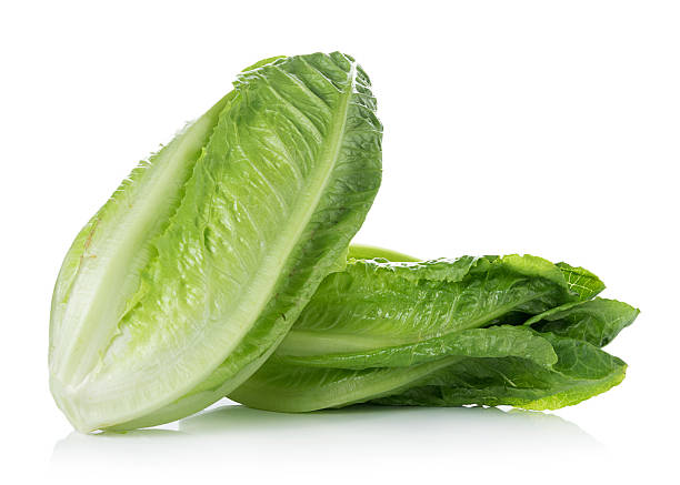 Cos Lettuce on White Background Cos Lettuce on White Background Romaine stock pictures, royalty-free photos & images