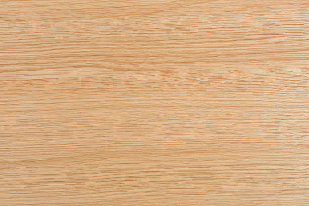 istock Plate of white oak 536649618