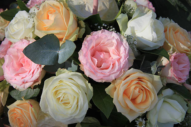istock Roses in different shades of pink 536651614