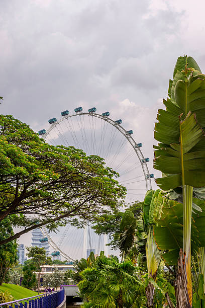 istock Ferris wheel and Singapore gardens at riverside 536652032