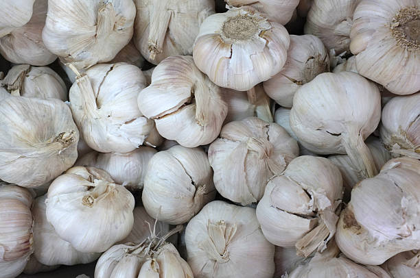 istock head of thai garlic 536654764