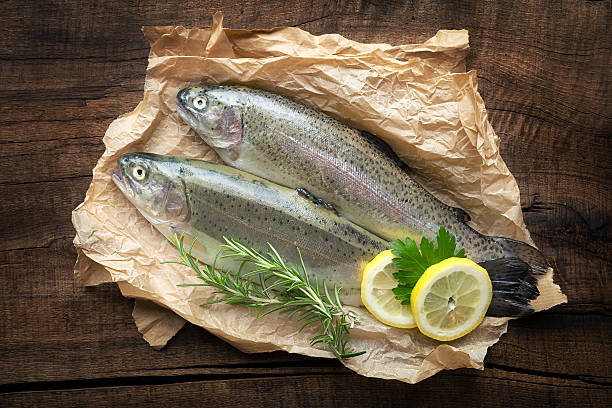 Fresh trout stock photo