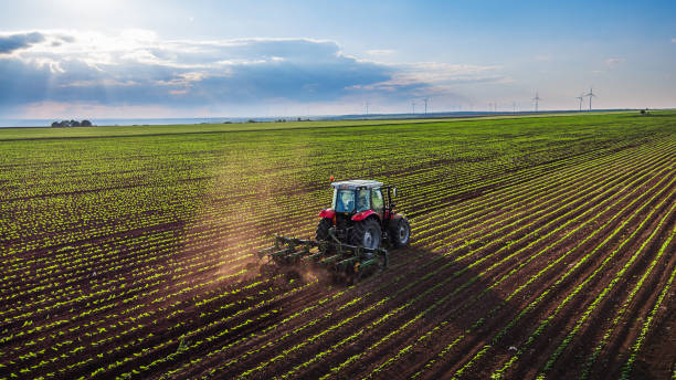 Tractor cultivating field at spring Tractor cultivating field at spring,aerial view agribusiness stock pictures, royalty-free photos & images