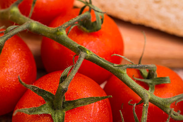 tomate  - backgrownd stock-fotos und bilder