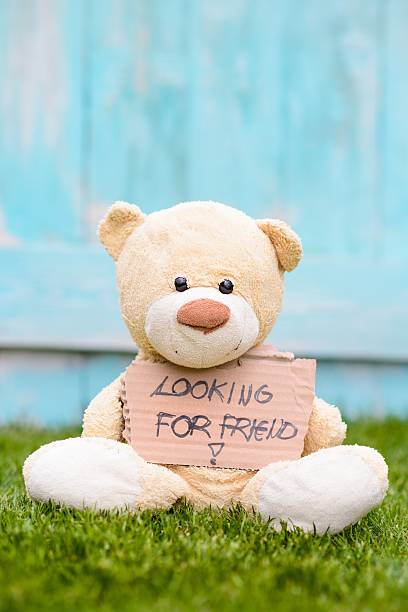 istock Teddy bear holding cardboard with information Looking For Friend 536666274