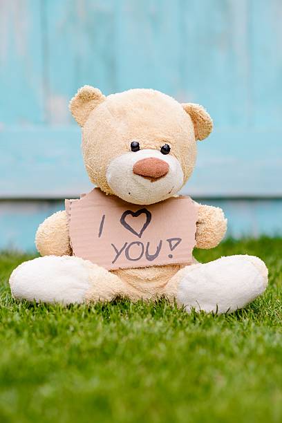 istock Teddy bear holding cardboard with information I love you 536666406