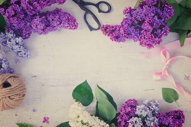 istock Bunch of fresh lilac 536668534
