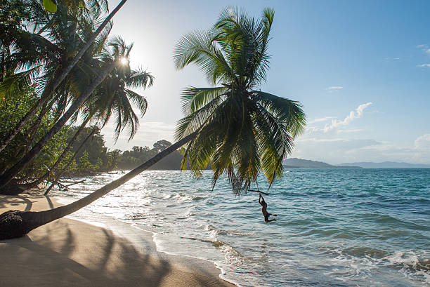 남자아이 재생 시 푼타 우바 플라주 코스타리카 - costa rica beach palm tree tree 뉴스 사진 이미지