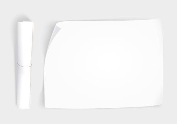 Blank whatman paper mockup with roll, top view isolated stock photo