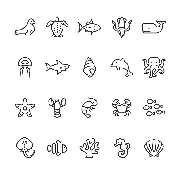 sea life and ocean animals vector icons - seashell illüstrasyonlar stock illustrations