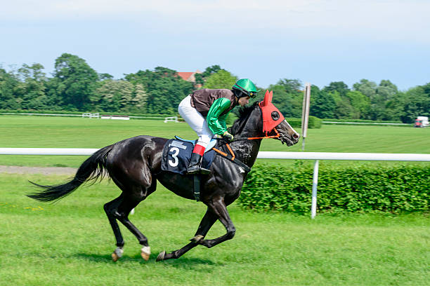 Horses breaking from the starting gate, space for copy, selective focus, canon 1Ds mark III