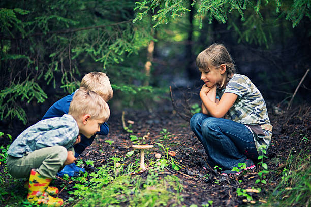 Little hikers picking mushrooms in forest. Kids just found some mushrooms and are examining it to determine if it's edible. The kids aged 7 and 4 are crouching near the mushroom.