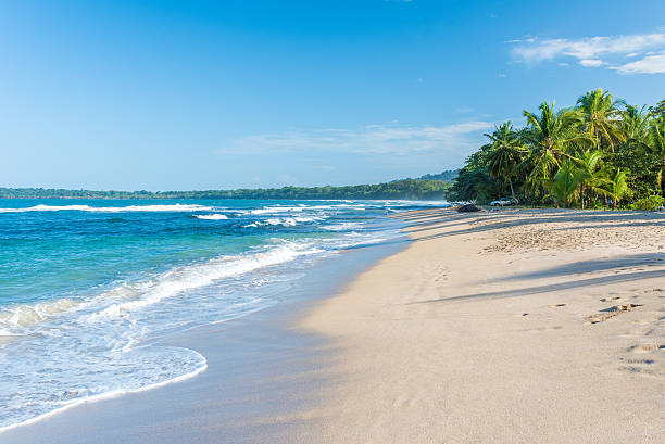 istock Punta Uva beach in Costa Rica, caribbean coast 536677442