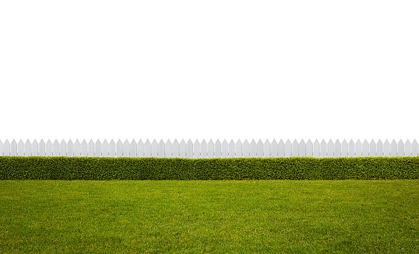 엠티 뒷뜰에서 - garden fence 뉴스 사진 이미지