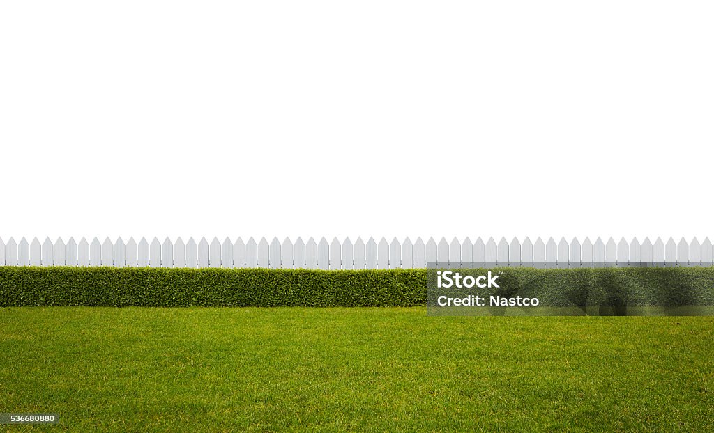 Empty backyard Empty backyard isolated on white background with copy space Yard - Grounds Stock Photo