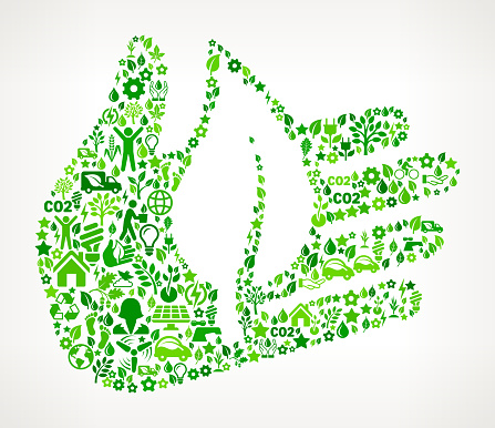 Nature Hands Vector Hand And Leaf Nature Conservation Royalty Free Vector Art Pattern Stock ...
