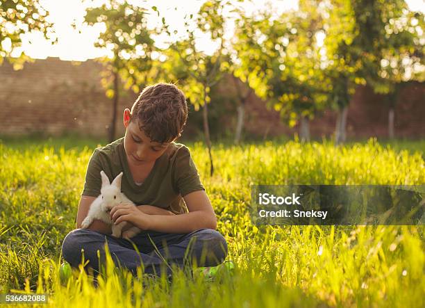 Lindo Niño Retención De Conejo Foto de stock y más banco de imágenes de Conejo - Animal - Conejo - Animal, Niño, Alimentar