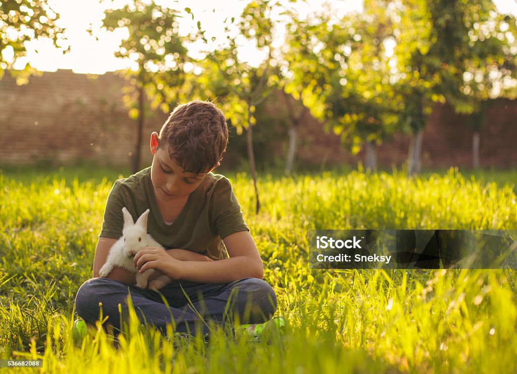 Menino bonito segurando um coelho - Foto de stock de Coelho - Animal royalty-free