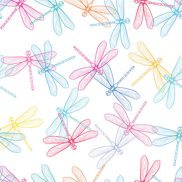 Dragonfly Fly Patterns 10,700+ Dragon Fly Pattern Stock Illustrations, Royalty-Free Vector ...