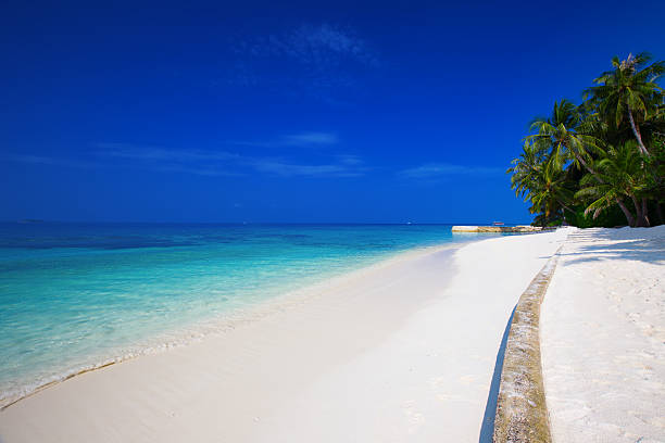 Tropical island with sandy beach and palm trees. stock photo