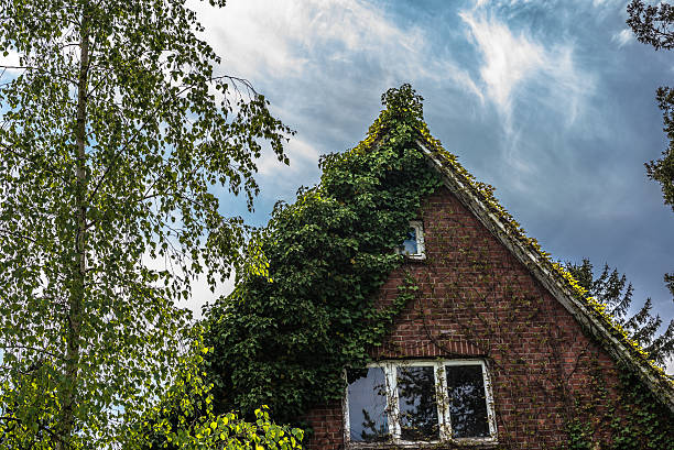 istock House with green Facade 536684123