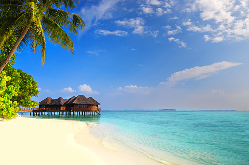 Isla Tropical con playa arenosa, palmeras y bungalow sobre el agua photo