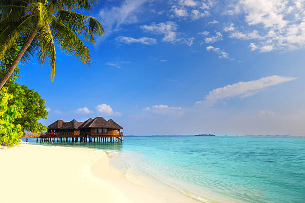 isla tropical con playa arenosa, palmeras y bungalow sobre el agua - maldivas fotografías e imágenes de stock
