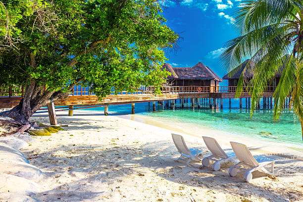 Tropical island with sandy beach, palm trees and overwater bungalow stock photo