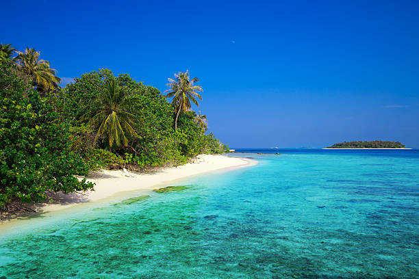 istock Tropical island with sandy beach and palm trees 536685528