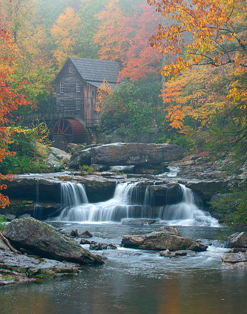 istock Vertical view of pure Fall beauty 536685657